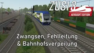 Chaosfahrt im Metronom / ZUSI 3 Zugsimulator