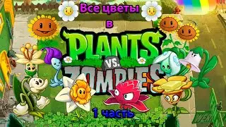Все цветы в pvz 1 часть