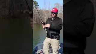 Best Chatterbait Retrieve - The Drag and drop - Bass Fishing #shorts