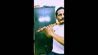 HIMANCHALI SONG-MAIYE NI MERIYE SHIMLE DI RAAHEY