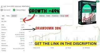 Hedge Scalper V24.2 EA MT4 &ndash; Best Forex Scalping & Hedging Robot | Multi-Pair