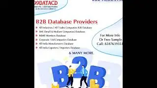 B2B Database Providers | 99Data