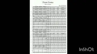 Triste Corteo (Marcia Funebre)