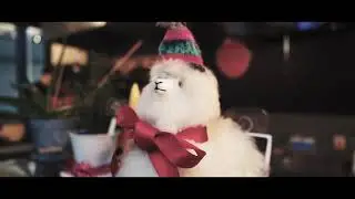 Taste Peru - Promotional Video | LOUD CROWD CREATIVE AGENCY