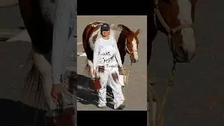 Halloween costumes for you and your horse! Pt.4👻🎃💀 #horses#halloween#costume#fypシ#horseridingvira