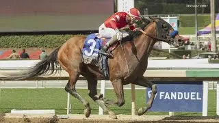 Practical Move scratched from Kentucky Derby 149