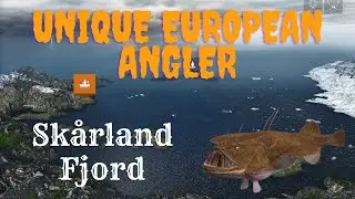 Unique European Angler | Sk&aring;rland Fjord | Fishing Planet