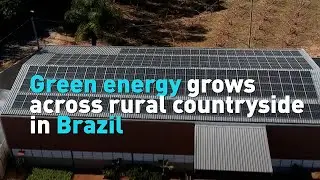 Green energy grows across rural countryside in Brazil