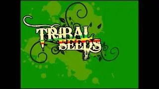 Tribal Seeds - Youth Rebellion
