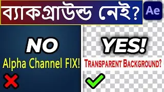 How To Export Transparent Video In After Effects - Full Guide