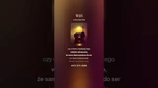 W115 47
