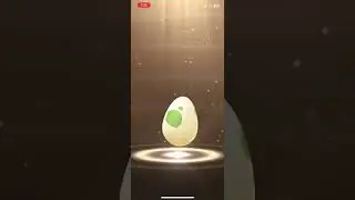 2km Egg Hatch (Shiny!) Pok&eacute;mon go