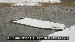 기대하지 않는 것이 가장 성실한 삶 입니다 