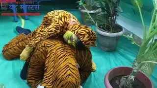 Save Tigers... save Humans. Play by Ved Masters Preschool, Virar East.