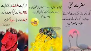 Hazrat Ali (as) Quotes In Urdu🥰 | Hazrat  Ali (as) Ke Akwaal Zareen IN Urdu #motivation