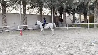 Abdulrahman Al-Jassmi: Horse jumping basics with coach Eman.