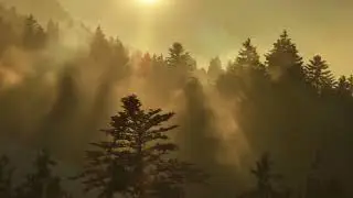 The Warrior's Path