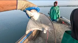 PART 2 SEA CREATURE CAUGHT WHILE CRAB & LOBSTER HUNTING #adventure #fishing #jamaica