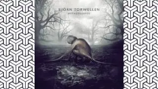 Bjoern Torwellen - Chiptrails (Original Mix) [NACHTSTROM SCHALLPLATTEN]