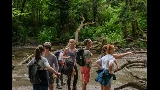 Greenheart Business Consulting | Customer Testimonial | Green Office Retreat at Top of the Woods