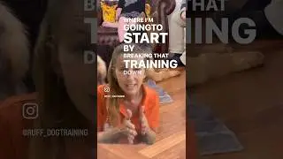 DOG BARKING? 🤯 #dogtraining #barkingdog #gsd #gsdtraining #gsdpuppy #puppy #puppytrainer #goodpup