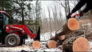 #672 Hobby Logging! Felling, Firewooding, With RK Tractor, Stihl MS261 and Wallenstein FX 85