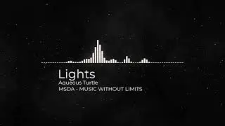 🔊🎵Lights🎶🎧[NOCOPYRIGHTSOUNDS][MUSICFREE][COPYFREE]🎤🎼