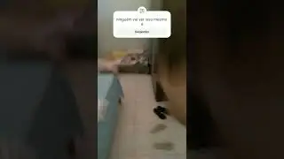 3ify