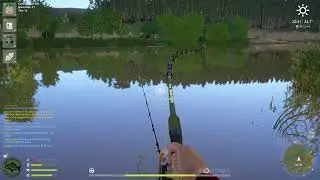 Rusian Fishing 4 Sura River Common Carp ( Ponty )