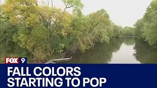 Fall colors starting to pop in dry conditions