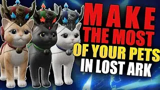 What Do Pets Do in LOST ARK ?