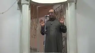 إن من الشجر شجرةً لا يسقط ورقها