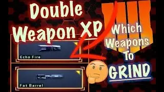Double WEAPON XP Weekend (Best Weapons to GRIND MAX LEVEL - BEST Operator Mods) | Black Ops 4