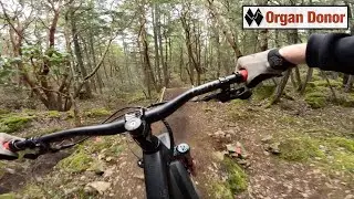Organ Donor, Hartland, Victoria, BC | MTB
