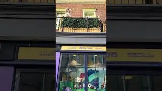 The Secret Life Of Pets Snowball The Bunny at Pets Place Part 2 1/26/2026