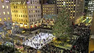 Rockefeller Christmas Tree | A Winter Ritual in the Heart of New York City