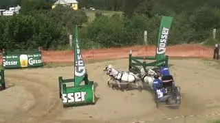 Roger CAMPBELL (GBR) - CAI-A***, P4, Altenfelden (Austria) marathon driving, obst. Nr. 5, 22.06.2019
