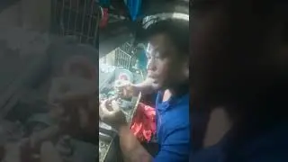pag hahasa ng Tari mga kasabong