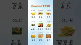 Learn Chinese for beginners - basic Chinese - Chinese vocabulary #Chinese #Study #Shorts #