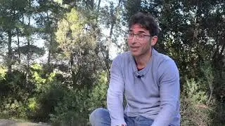 POSIDONIA: LA REINA DEL MEDITERRÁNEO