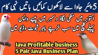 Java profitable business 2024 | java 5 pair business plan | جاوا منافع بخش کاروبار