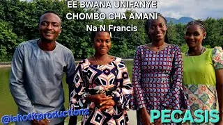 EE BWANA UNIFANYE CHOMBO CHA AMANI ( Sala ya Mt Fransisco wa Asiz) Na N Francis