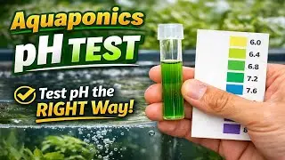 How to Test pH in Aquaponics (Reagent Method) | Easy & Accurate Guide | Neural Organics