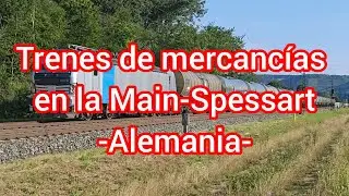 Trenes de mercancías en Himmelstadt (Alemania)