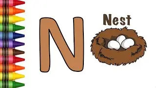 N for Nest Drawing | ABCD | Alphabet Drawing | How to Draw Nest | Cute Little Drawings