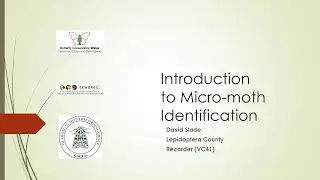 SEWBReC Online Course: Introduction to Micro Moths