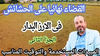 مكافحة الحشائش في الارز البدار 💥وأفضل المبيدات المستخدمه والتوقيت المناسب للقضاء عليها2023