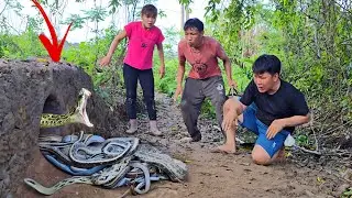 3 Brave Experts Catch 100 Giant Snakes With Their Hands