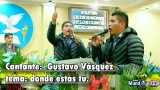 Cantante:  Gustavo V&aacute;squez tema: donde estas tu.
