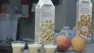 Buffalo Behind the Scenes: Elmhurst Milked